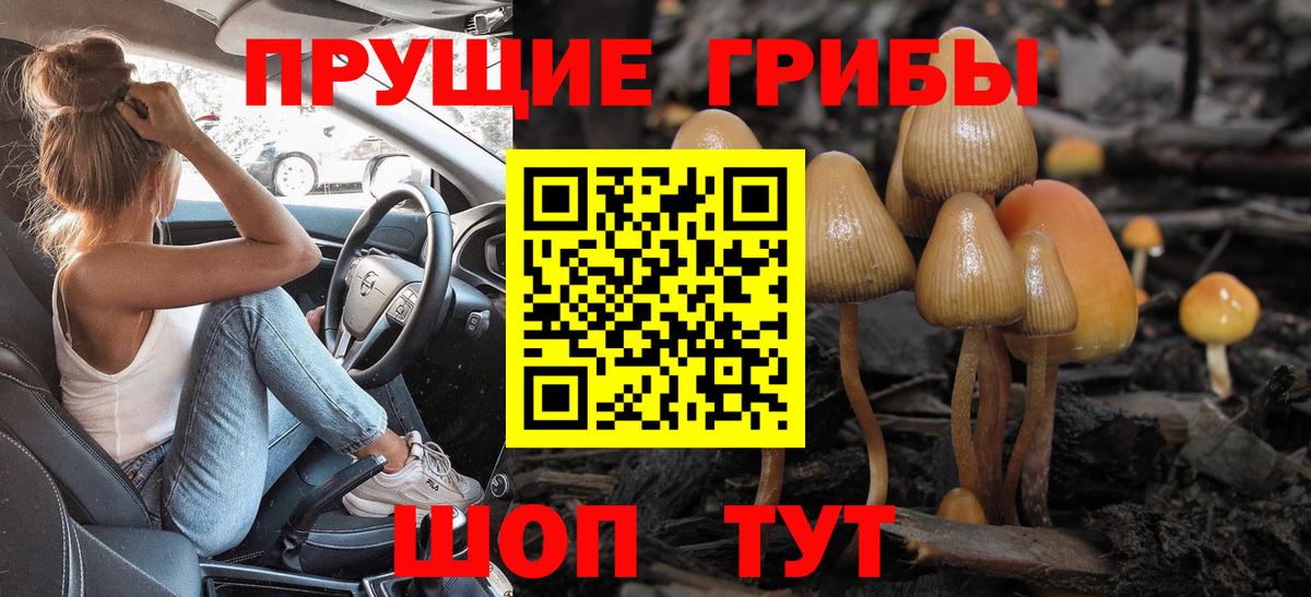 Шахты  купить закладку  Вход с VPN  Галлюциногенные грибы MAGIC MUSHROOMS 