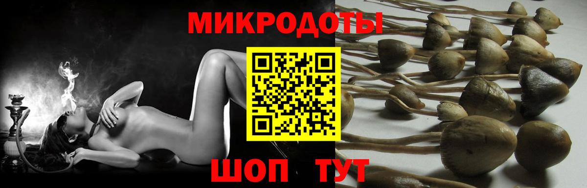 Псилоцибиновые грибы GOLDEN TEACHER Шахты